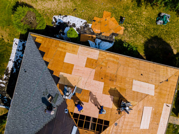 Best Gutter Installation and Roofing  in Oak Hill, FL