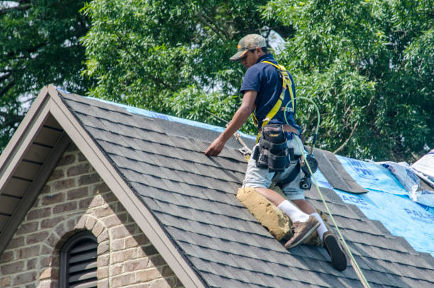 Best Local Roofing Companies  in Oak Hill, FL